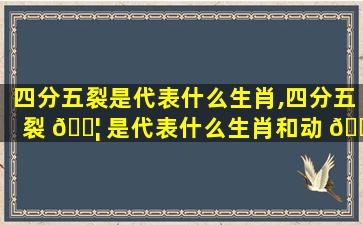 四分五裂是代表什么生肖,四分五裂 🐦 是代表什么生肖和动 🌸 物
